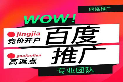 深度解析：竞价推广公司经典案例